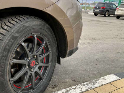 Под Орлом хулиган попрыгал по чужой легковушке