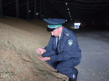 Экспорт подкарантинной продукции из Орловской и Курской областей в первом квартале 2024 года вырос более чем на 50%