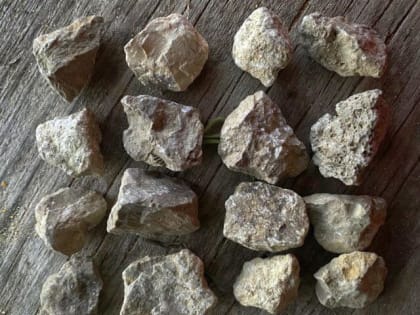 В Орле назвали 100-процентно прибыльные отрасли