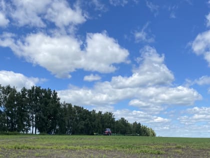 Россельхозцентр предупредил орловцев о новом вредителе