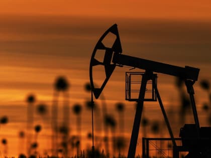 Опубликованы данные для расчёта НДПИ, НДД и акциза на нефтяное
сырье за январь 2023 года