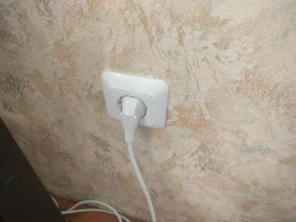 Правоохранители проверят дачников по просьбе энергетиков