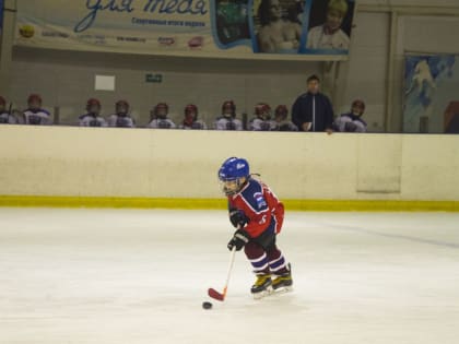 Орловцев приглашают провести праздник весны на коньках
