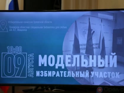 На Орловщине созданы все условия для голосования людей с ограниченными возможностями здоровья