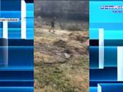 В Орле рушится сквер «Дворянское гнездо", главврач Дмитровской ЦРБ служит в зоне СВО, в съёмках военного фильма с Павлом Прилучным участие принимают трое орловчан. Об этом и н