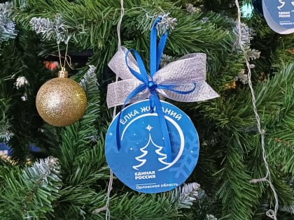 Депутаты городского Совета участвуют в традиционной предновогодней акции «Ёлка желаний».