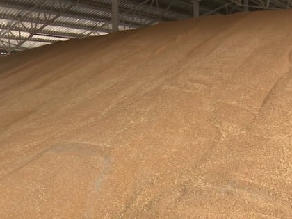 Беларусь и Казахстан стали главными сельхозимпортерами Орловщины