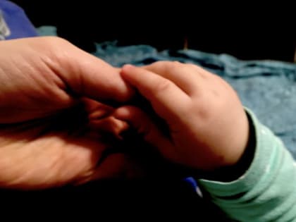 Для выплат из маткапитала установят единую дату