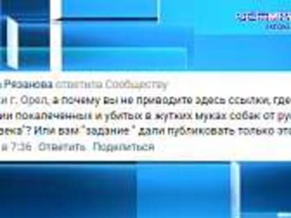 В Орле прошло заседание, где зоозащитники и чиновники обсудили введение поправок об усыплении бездомных собак