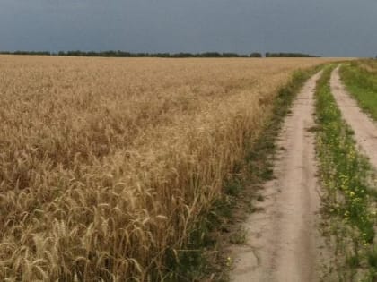 Клычков отметил режим ЧС в орловском АПК