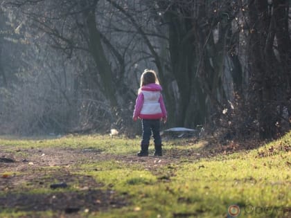 Безопасное лето в наших руках!