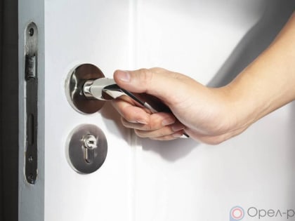 Орловчанка украла два телефона и продала их