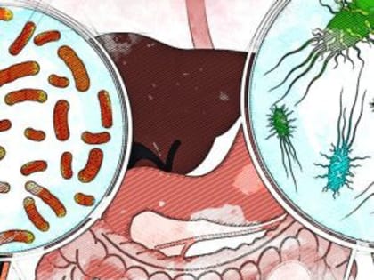 В Орловской области зарегистрирован всплеск кишечных инфекций