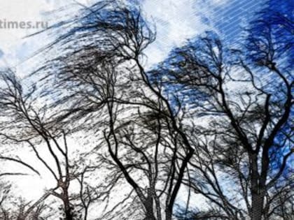 На Орловскую область надвигается сильнейший ветер