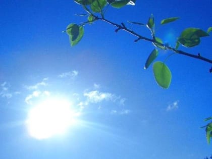 В последние весенние дни в Орловской области сохранится преимущественно сухая, жаркая погода