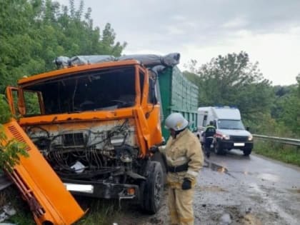 В Должанском районе Орловской области КамАЗ влетел в комбайн