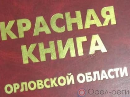 Прокуратура отреагировала на отсутствие новой редакции Красной книги Орловской области