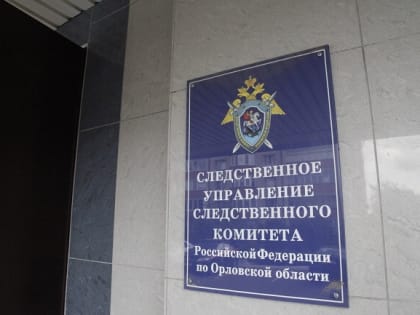 Орловчанина подозревают в особо крупном уклонении от налогов