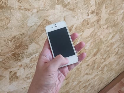 Орловцу дали срок и освободили в зале суда