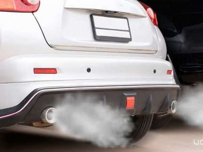 Почему лучше установить пламегаситель взамен катализатора?