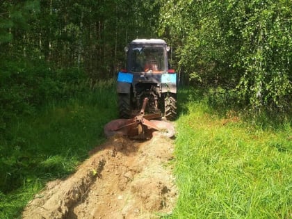 Лесные пожары будут тушить по плану