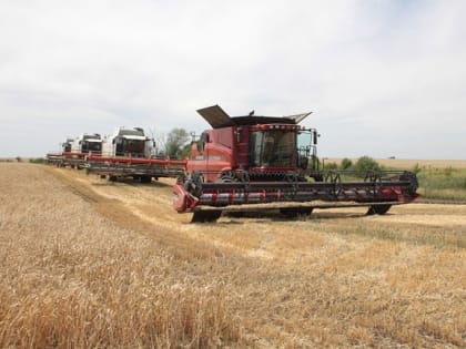 Орловщина оказалась среди регионов-лидеров по вакансиям для стажёров АПК