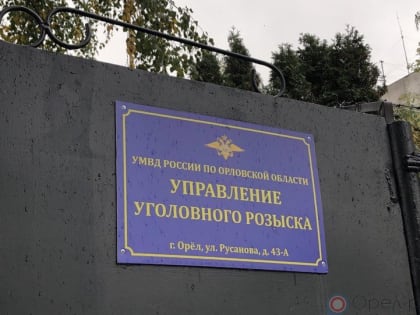 Кража в Орле: иностранцы потеряли крупные суммы денег и драгоценности