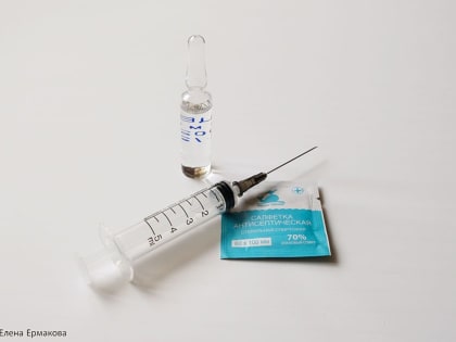 Об орловских проблемах с бешенством узнала вся страна