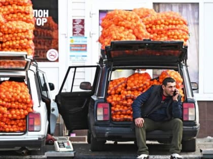 В два раза за два года: почему в России дорожают мандарины