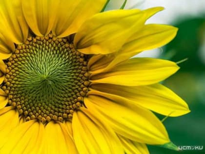 Травмпункт больницы им. Н.А. Семашко возобновляет круглосуточную работу, супруга мобилизованного орловчанина просит Клычкова помочь получить единовременную выплату, а в Орле вновь 