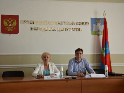 Новые инициативы в Орле: законопроект о сроках принятия правовых актов