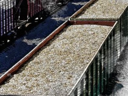 В РЖД заявили о значительном увеличении объёмов перевозимого зерна и продовольствия в Орловской области