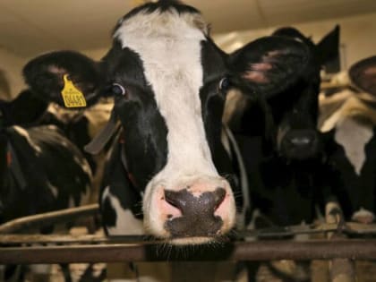 Эффективное производство в Орле