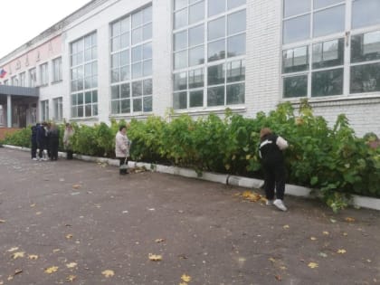 Заключен контракт на ремонт лицея №32