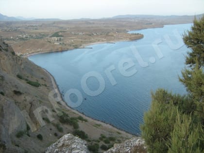 Инфекций в Чёрном море не найдено