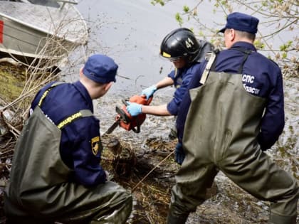 В Орле состоялся экологический субботник