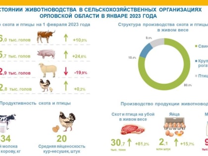 В Орловской области за год увеличилось животноводческое стадо