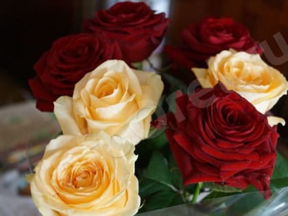 «Женская гостиная»: слабый пол пригласили на семинар для трудоустройства