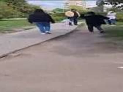 В Орле на поляне у памятника Ивану Грозному, в историческом центре города, планируют спилить все деревья сирени