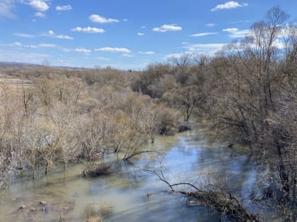 Орловцам напомнили о дезинфекции колодцев после половодья