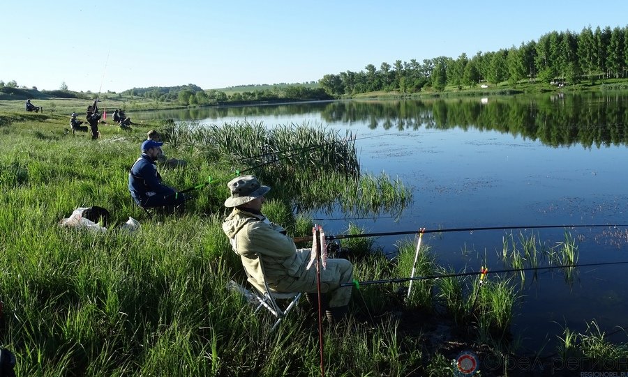 Пруд орел рыбалка. Озеро жилево. Пруд орел рыбалка. Силикатный пруд орел фото. Шаховский пруд орловская область.