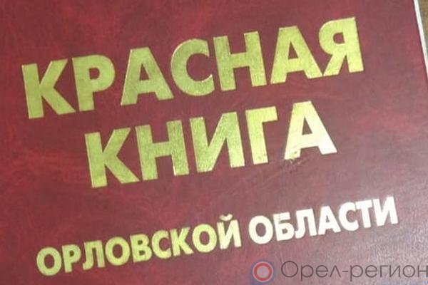 Орловская область книги. Красная книга Орловской области книга. Животные красной книги Орловской области. Красная книга Орловской области животные и растения. Красная книга Орловской области обложка.