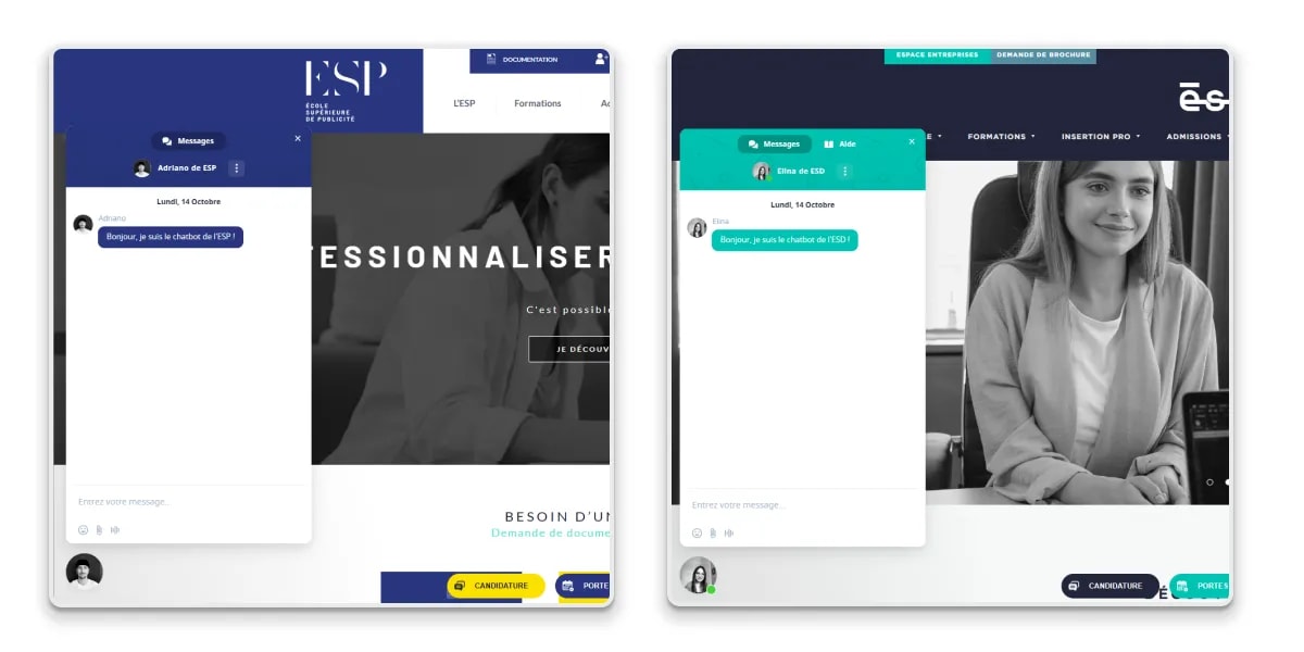 Visual capture of the two original implemented chatbot on the website of ESP and ESD