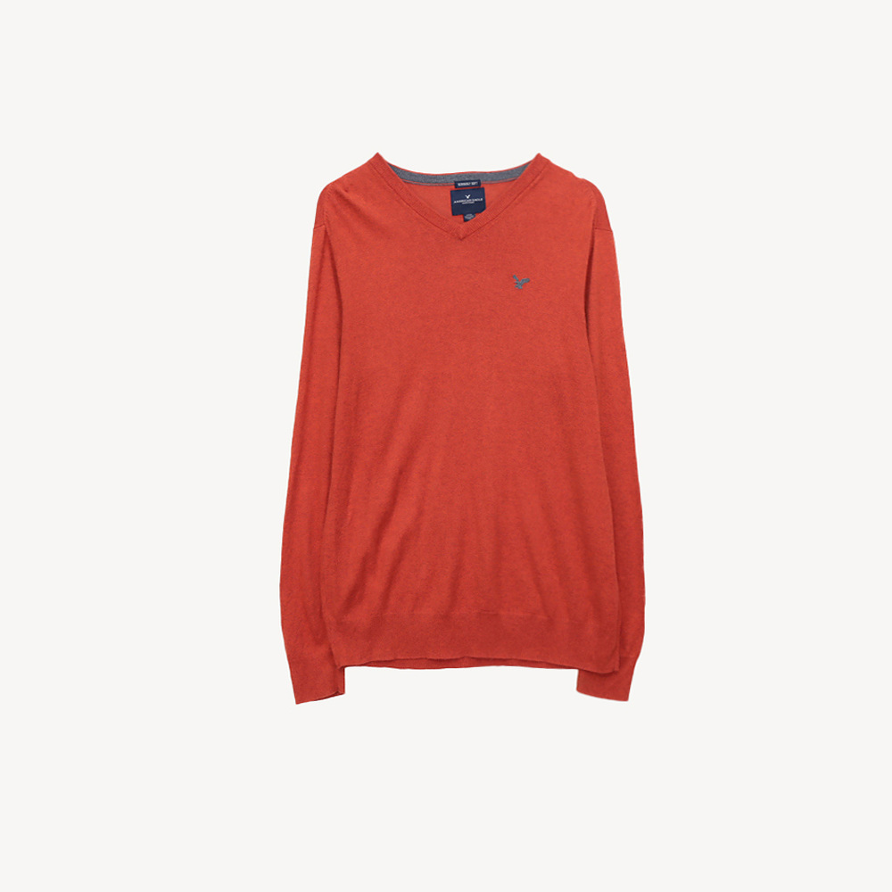 AMERICAN EAGLE 아메리칸이글 솔리드 브이넥 니트 MAN-S