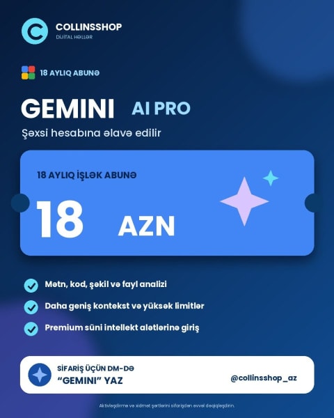 Gemini AI Pro