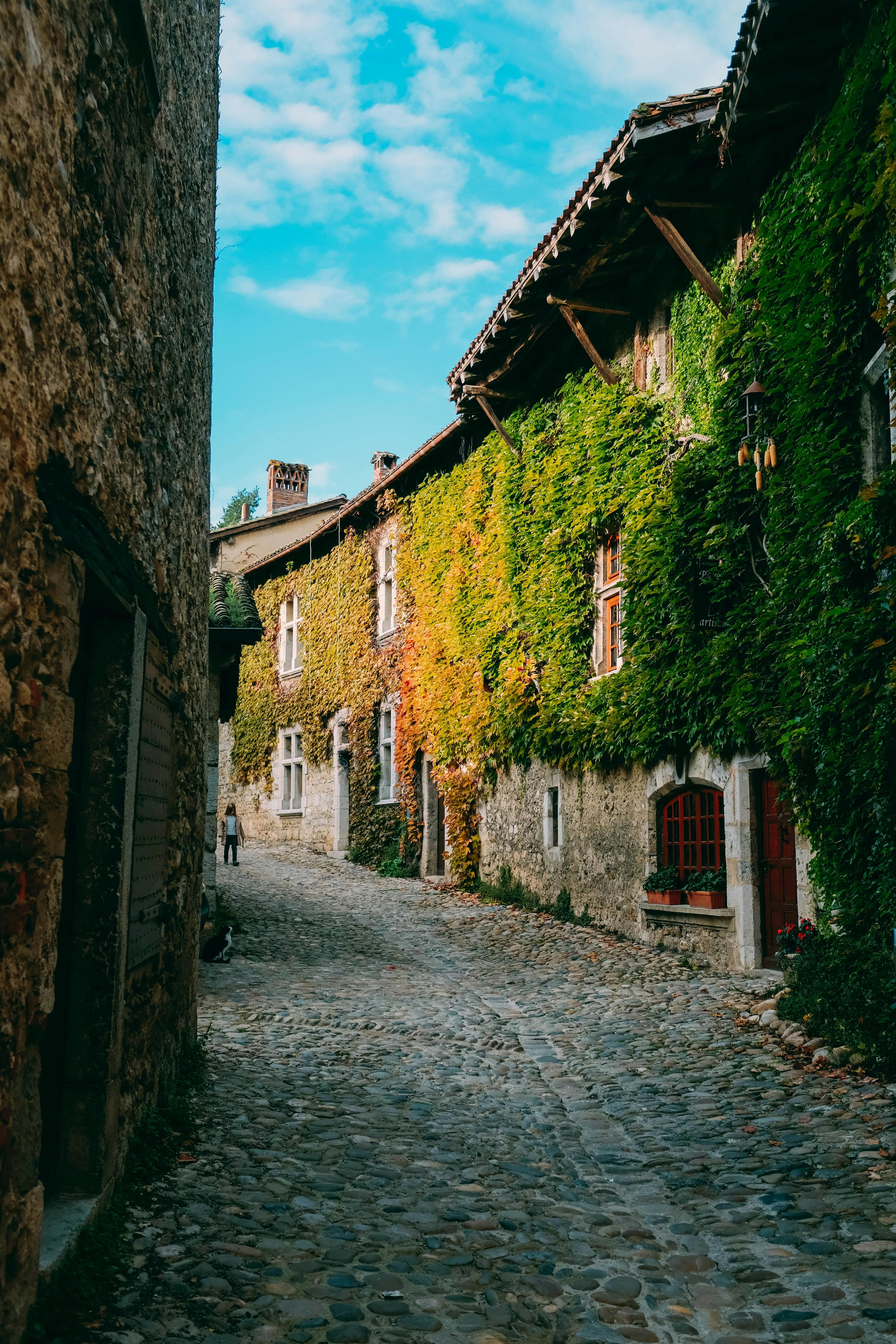 How to Travel for Regulation, Not Escape