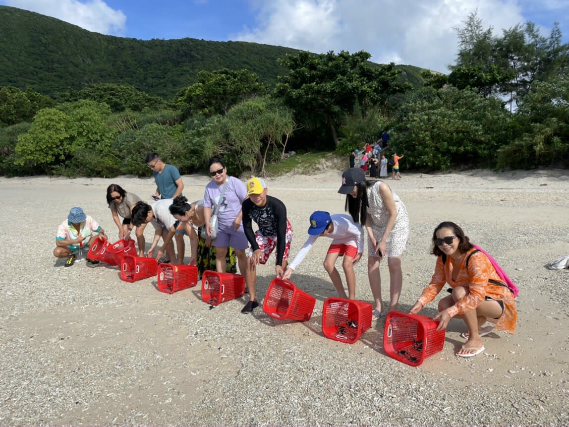 TOUR THẢ RÙA CON & LẶN NGẮM SAN HÔ ảnh 6