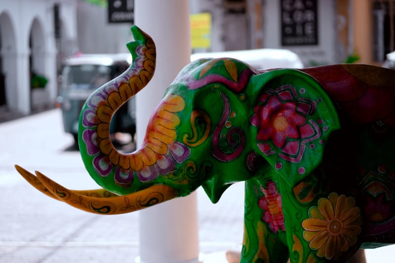 Painted elephant, Galle