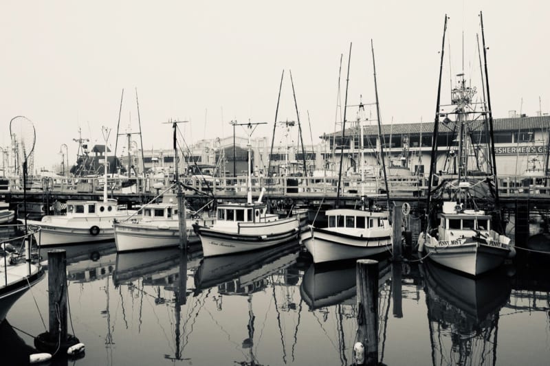 Fishing boats at the pier in San Francisco