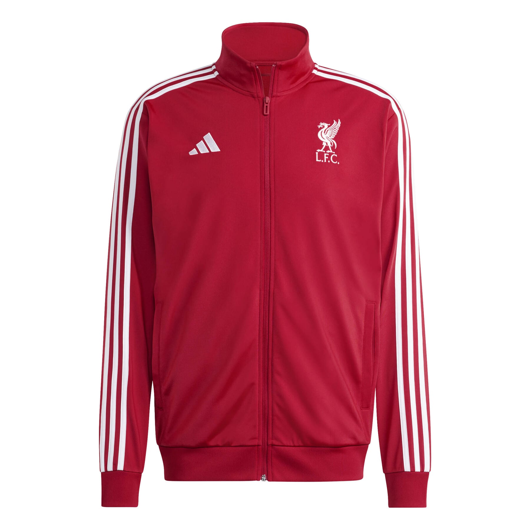 LFC DNA TT          STRRED